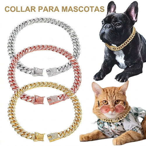 Collar Cubano de Lujo para Mascotas