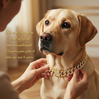 Collar Cubano de Lujo para Mascotas