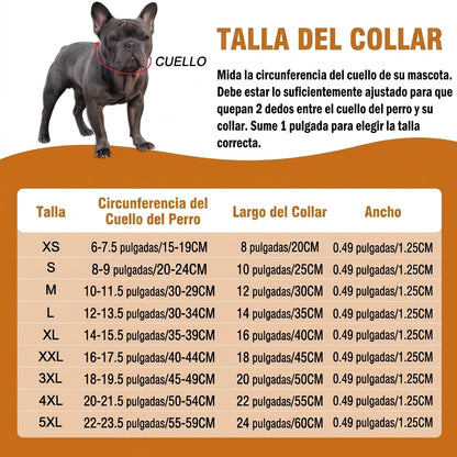 Collar Cubano de Lujo para Mascotas